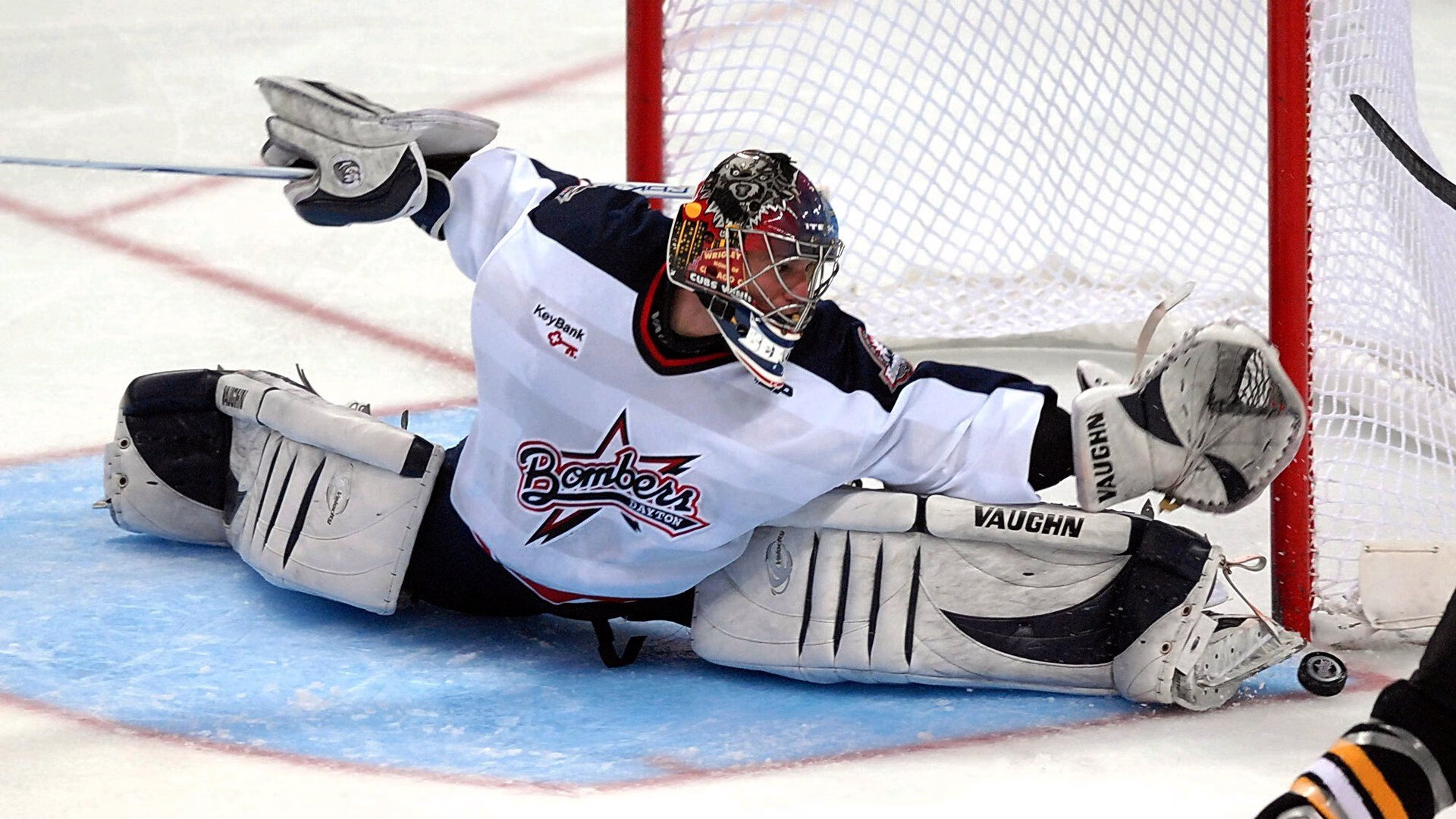 点滴回忆:从菜鸟到超级巨星的成长故事